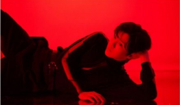 吃瓜爆料白鹿王鹤棣,瓜田李下，揭秘娱乐圈的甜蜜瓜语